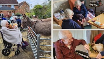 Mobile farm visits Harnham Croft care home